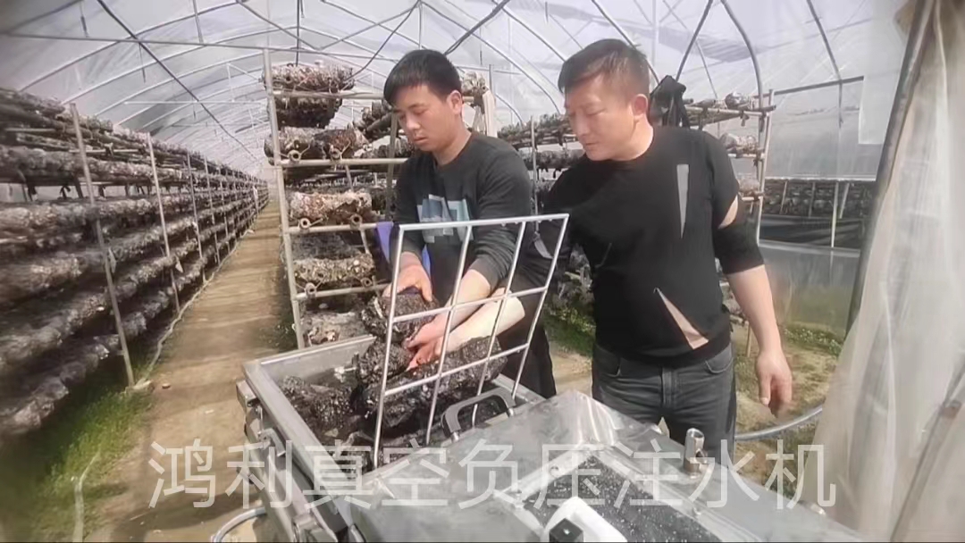 鴻利真空負壓注水機在湖北廣水市卓杰種植專業(yè)合作社得到菇民認可