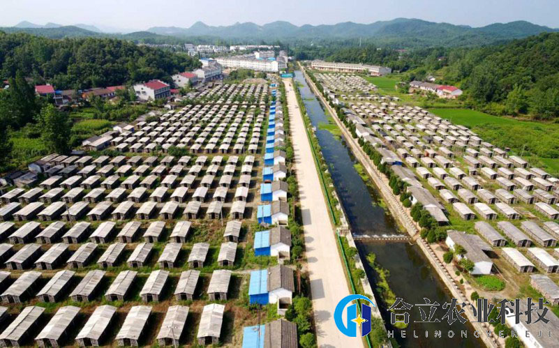 湖北隨縣：籌備成立香菇產業聯合黨委