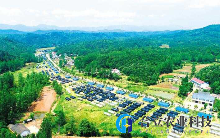 湖北隨州：種數字菇，出品率是行業平均水平3.5倍