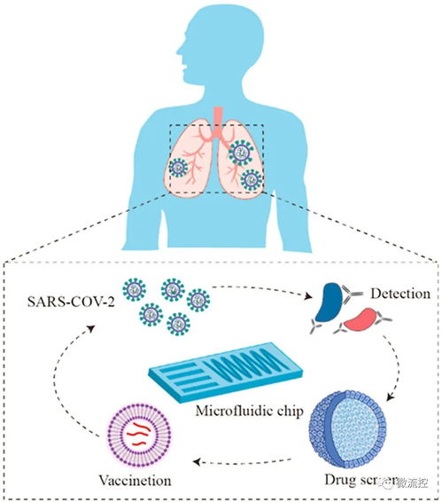 微流控技術(shù)在新冠肺炎診斷和藥物研發(fā)及細胞技術(shù)領(lǐng)域的應(yīng)用